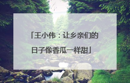 王小伟：让乡亲们的日子像香瓜一样甜