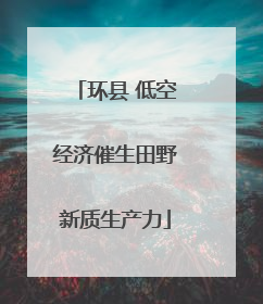 环县 低空经济催生田野新质生产力