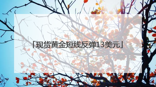 现货黄金短线反弹13美元
