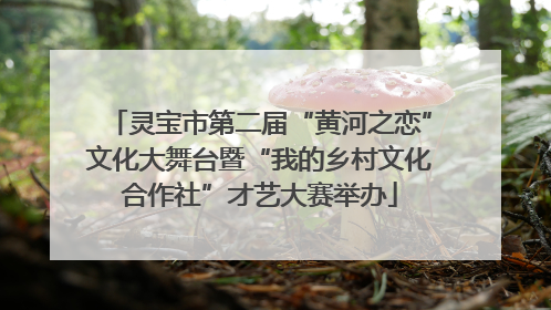 灵宝市第二届“黄河之恋”文化大舞台暨“我的乡村文化合作社”才艺大赛举办