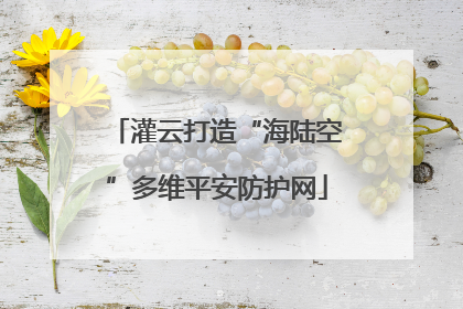 灌云打造“海陆空”多维平安防护网