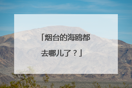 烟台的海鸥都去哪儿了？