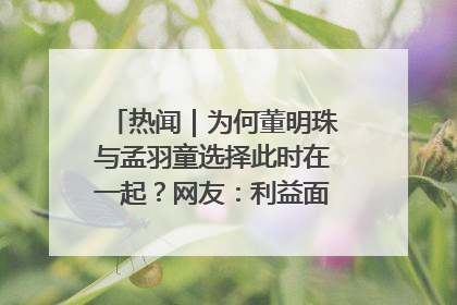 热闻｜为何董明珠与孟羽童选择此时在一起？网友：利益面前啥都能和解