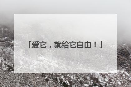 爱它，就给它自由！