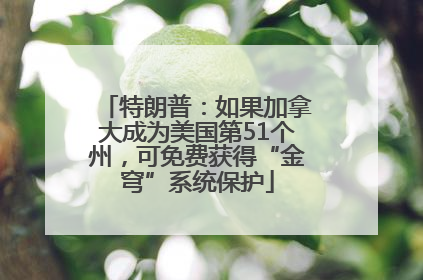 特朗普：如果加拿大成为美国第51个州，可免费获得“金穹”系统保护
