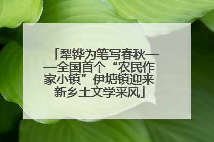 犁铧为笔写春秋——全国首个“农民作家小镇”伊塘镇迎来新乡土文学采风