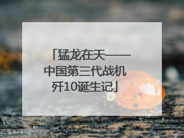 猛龙在天——中国第三代战机歼10诞生记