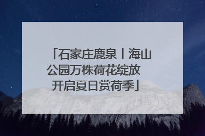 石家庄鹿泉丨海山公园万株荷花绽放 开启夏日赏荷季