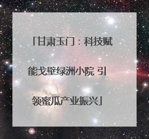 甘肃玉门：科技赋能戈壁绿洲小院 引领蜜瓜产业振兴