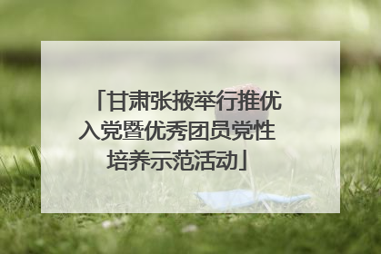 甘肃张掖举行推优入党暨优秀团员党性培养示范活动