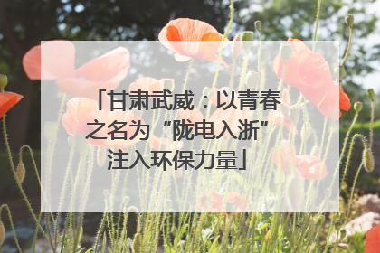 甘肃武威：以青春之名为“陇电入浙”注入环保力量