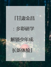 甘肃金昌：多彩研学解锁少年成长新体验
