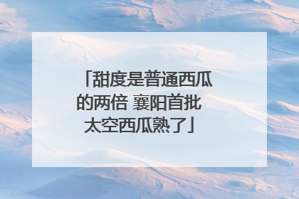 甜度是普通西瓜的两倍 襄阳首批太空西瓜熟了