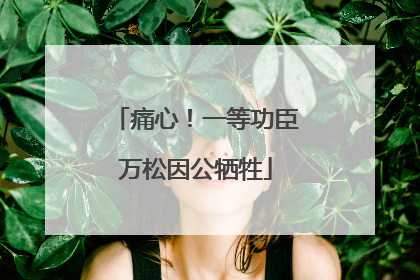 痛心！一等功臣万松因公牺牲