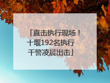 直击执行现场！十堰192名执行干警凌晨出击