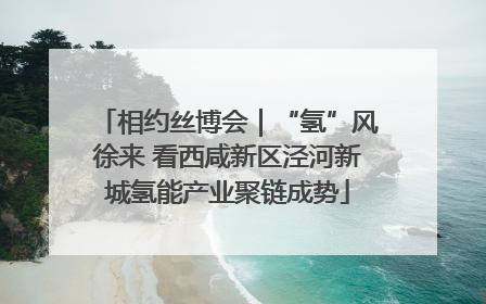 相约丝博会｜“氢”风徐来 看西咸新区泾河新城氢能产业聚链成势