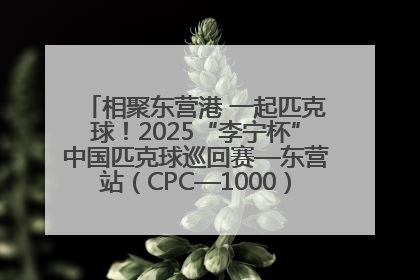 相聚东营港 一起匹克球！2025“李宁杯”中国匹克球巡回赛—东营站（CPC—1000）暨“好运山东”黄河口匹克球公开赛落幕