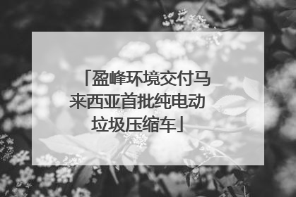 盈峰环境交付马来西亚首批纯电动垃圾压缩车