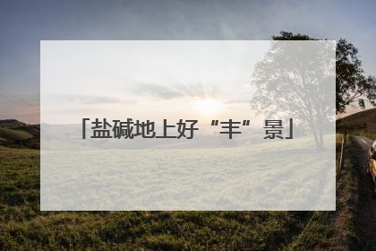 盐碱地上好“丰”景