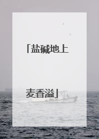 盐碱地上麦香溢