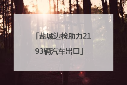 盐城边检助力2193辆汽车出口