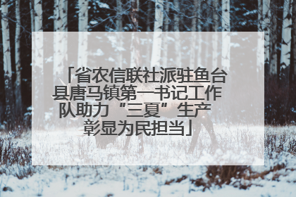 省农信联社派驻鱼台县唐马镇第一书记工作队助力“三夏”生产 彰显为民担当