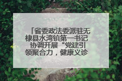 省委政法委派驻无棣县水湾镇第一书记 协调开展“党建引领聚合力，健康义诊惠乡亲”义诊活动