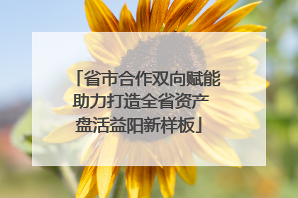 省市合作双向赋能 助力打造全省资产盘活益阳新样板