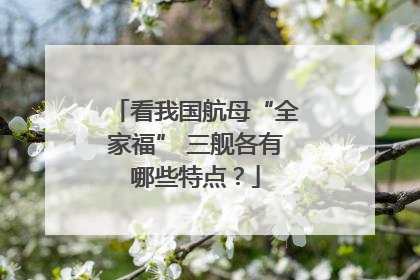 看我国航母“全家福” 三舰各有哪些特点？