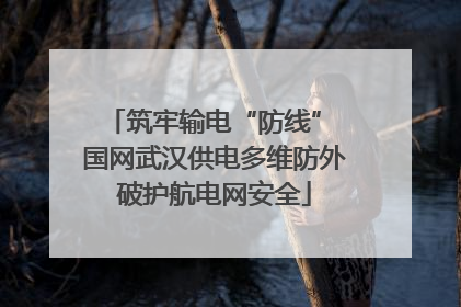 筑牢输电“防线” 国网武汉供电多维防外破护航电网安全