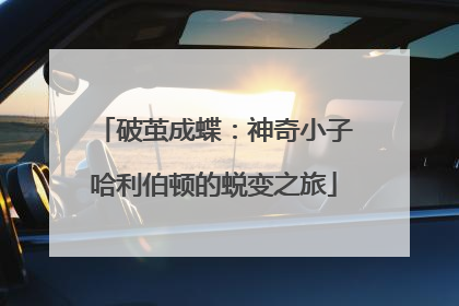 破茧成蝶：神奇小子哈利伯顿的蜕变之旅