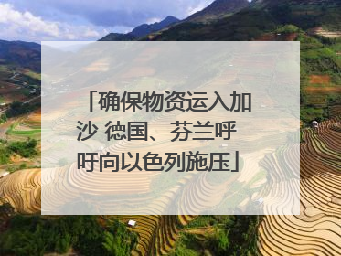 确保物资运入加沙 德国、芬兰呼吁向以色列施压