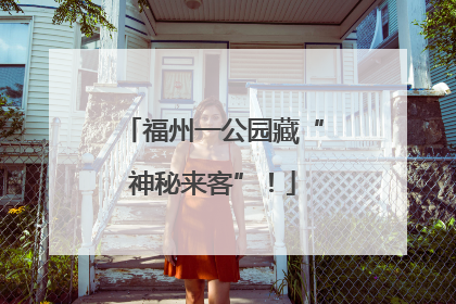 福州一公园藏“神秘来客”！