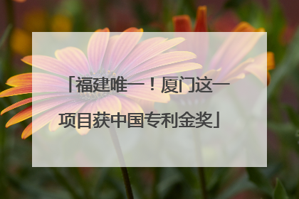 福建唯一！厦门这一项目获中国专利金奖