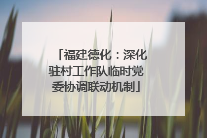 福建德化：深化驻村工作队临时党委协调联动机制