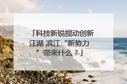 科技新锐搅动创新江湖 滨江“新势力”带来什么？