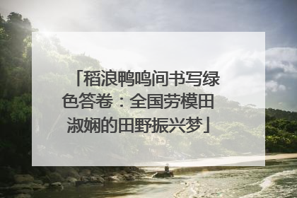 稻浪鸭鸣间书写绿色答卷：全国劳模田淑娴的田野振兴梦