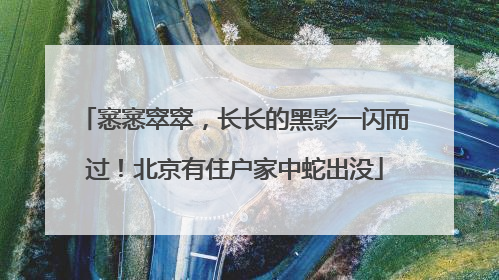 窸窸窣窣，长长的黑影一闪而过！北京有住户家中蛇出没
