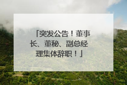 突发公告！董事长、董秘、副总经理集体辞职！