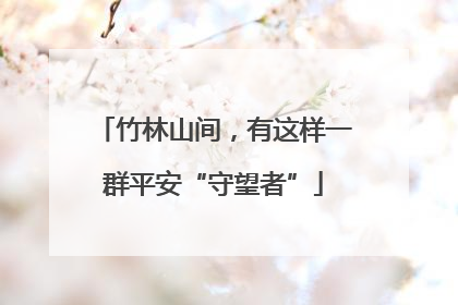 竹林山间，有这样一群平安“守望者”
