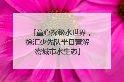 童心探秘水世界，徐汇少先队半日营解密城市水生态