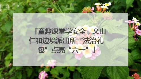 童趣课堂学安全，文山仁和边境派出所“法治礼包”点亮“六一”