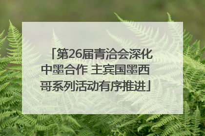 第26届青洽会深化中墨合作 主宾国墨西哥系列活动有序推进