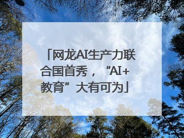 网龙AI生产力联合国首秀，“AI+教育”大有可为