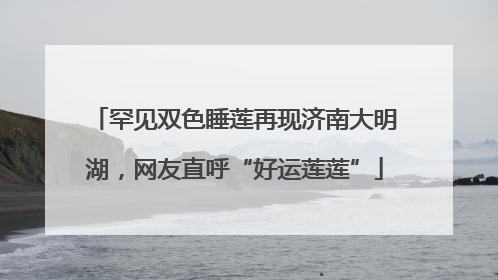 罕见双色睡莲再现济南大明湖，网友直呼“好运莲莲”