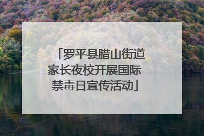罗平县腊山街道家长夜校开展国际禁毒日宣传活动