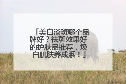 美白淡斑哪个品牌好？祛斑效果好的护肤品推荐，焕白肌肤养成系！