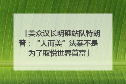 美众议长明确站队特朗普：“大而美”法案不是为了取悦世界首富