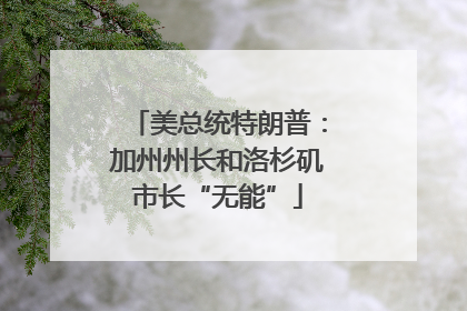 美总统特朗普：加州州长和洛杉矶市长“无能”