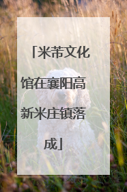 米芾文化馆在襄阳高新米庄镇落成